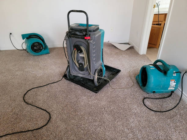 Best Water damage restoration near me  in Anthem, AZ