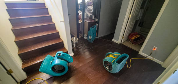 Best Commercial water damage restoration  in Anthem, AZ