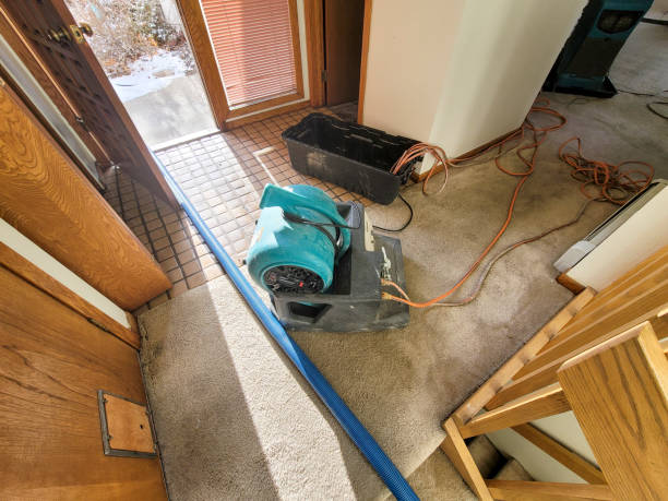 Best Carpet water damage restoration  in Anthem, AZ