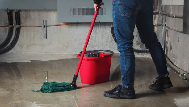 Best Mold removal after water damage  in Anthem, AZ