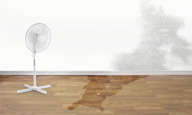 Local water damage restoration in AZ
