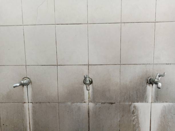 Best Emergency water damage restoration  in Anthem, AZ