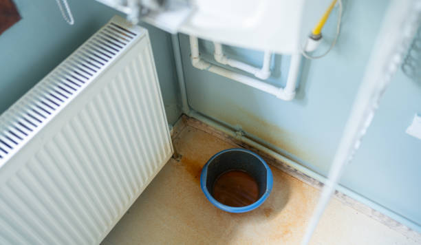 Best Sewage cleanup and water damage restoration  in Anthem, AZ