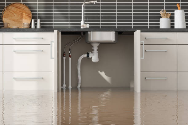 Best Emergency water damage restoration  in Anthem, AZ
