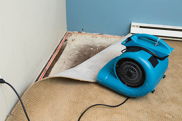  Anthem, AZ Water damage restoration Pros